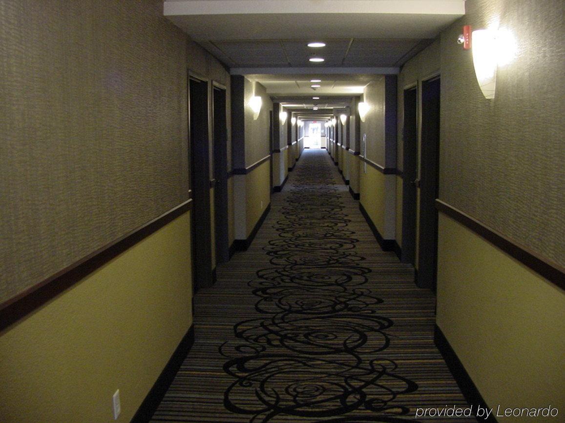 Holiday Inn Express & Suites Fredericksburg By Ihg Exterior foto